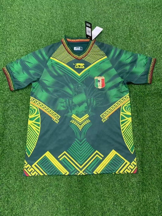 Maillot Mali domicile 2026